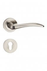 D1-H170镍拉丝执手锁