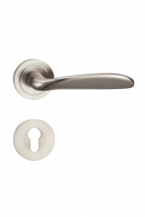 D1-H167镍拉丝执手锁