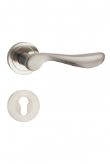 D1-A12镍拉丝执手锁